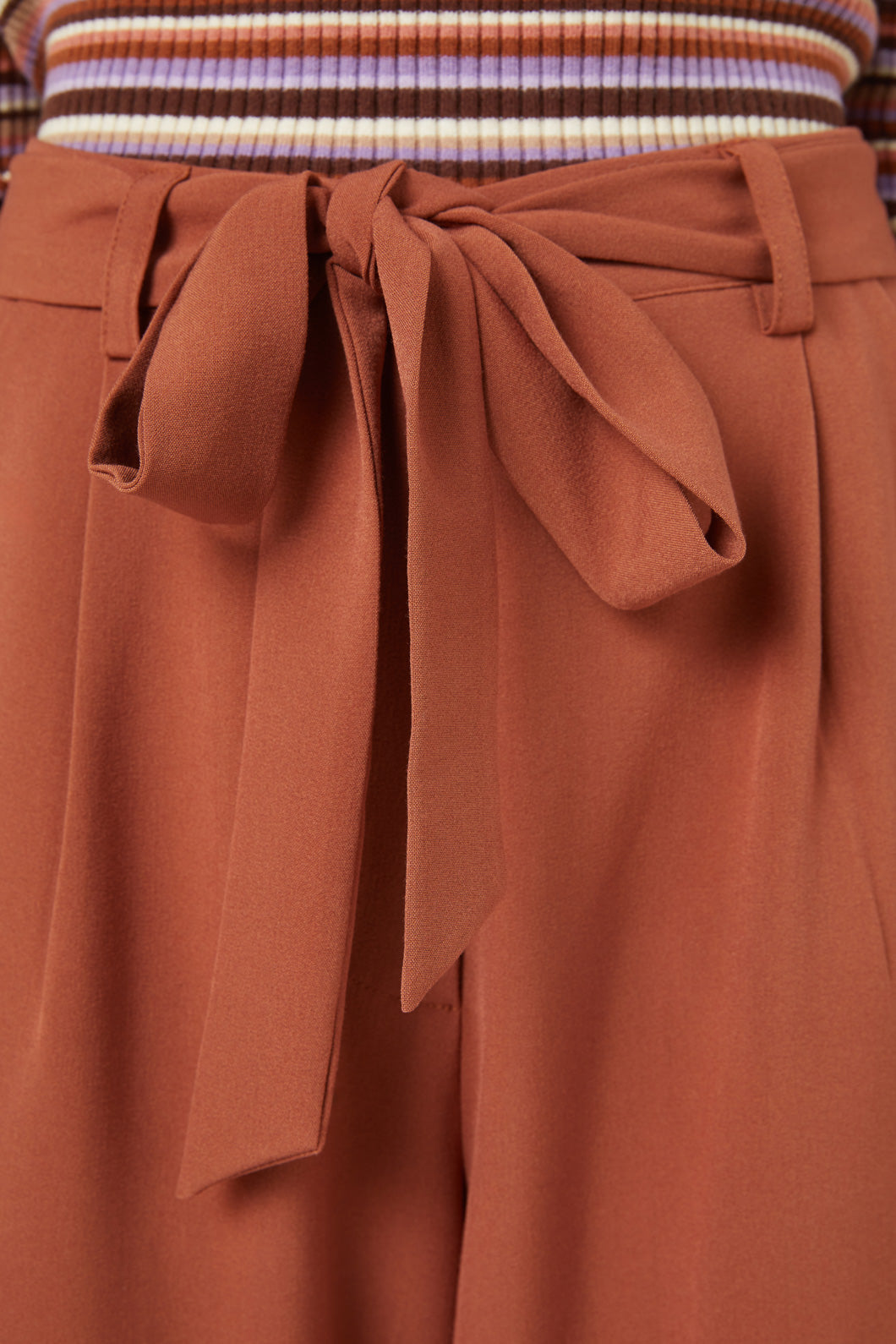 Relaxed High-Waisted Dani Pant in Rust and Olive